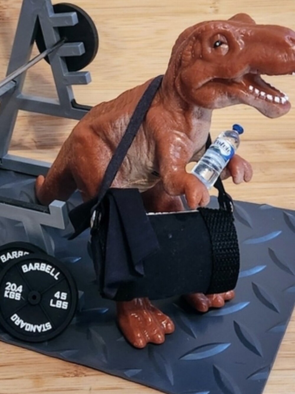 T-Rex Fitness Scene w/ Accessories
